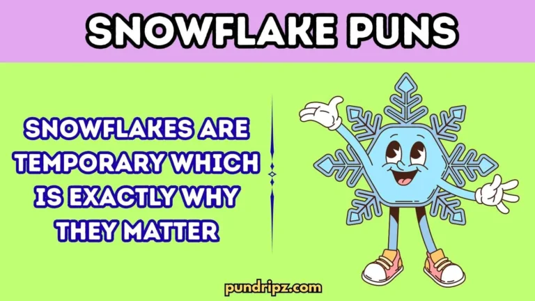 Snowflake Puns